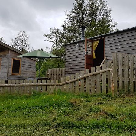 Foxglove Accommodation Craven Arms Zewnętrze zdjęcie