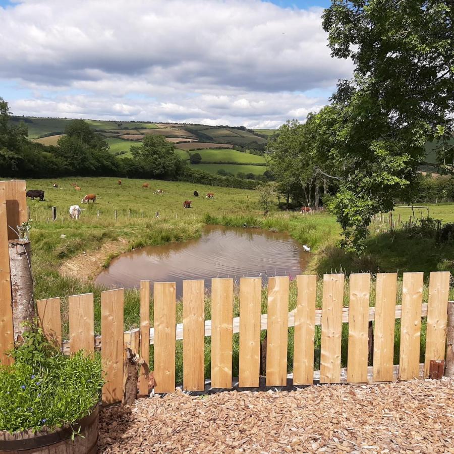 Foxglove Accommodation Craven Arms Zewnętrze zdjęcie