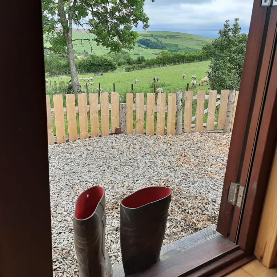 Foxglove Accommodation Craven Arms Zewnętrze zdjęcie