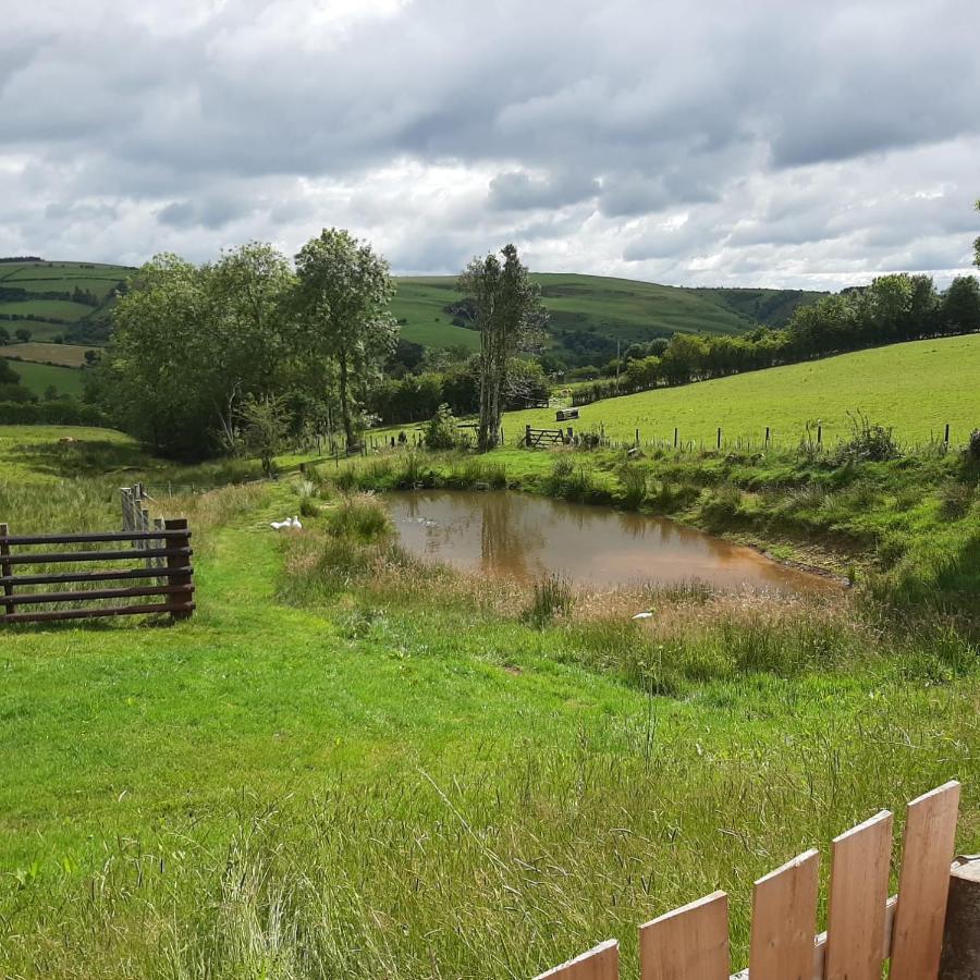 Foxglove Accommodation Craven Arms Zewnętrze zdjęcie