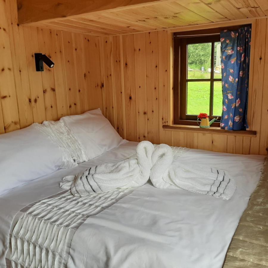 Foxglove Accommodation Craven Arms Zewnętrze zdjęcie