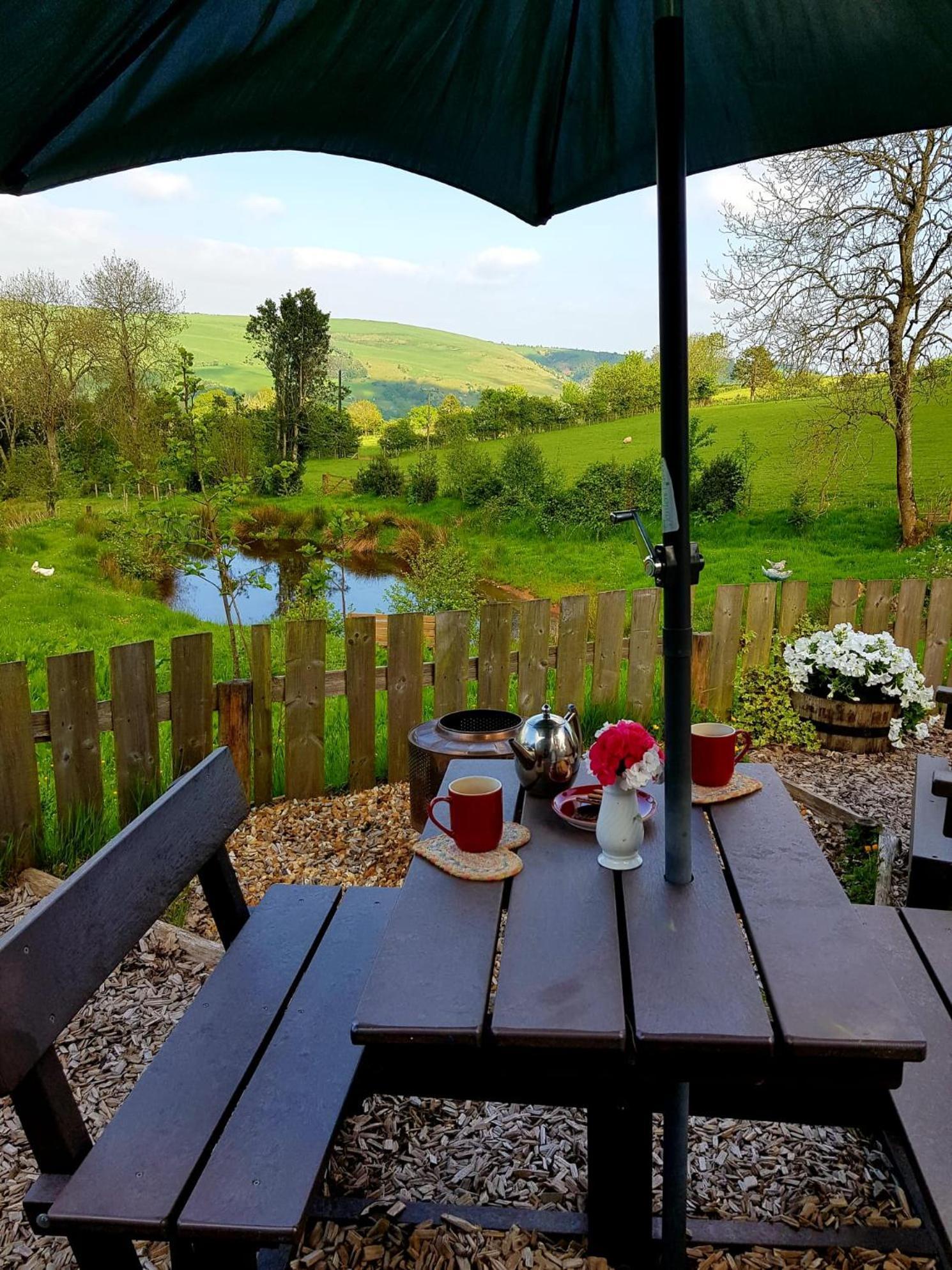 Foxglove Accommodation Craven Arms Zewnętrze zdjęcie