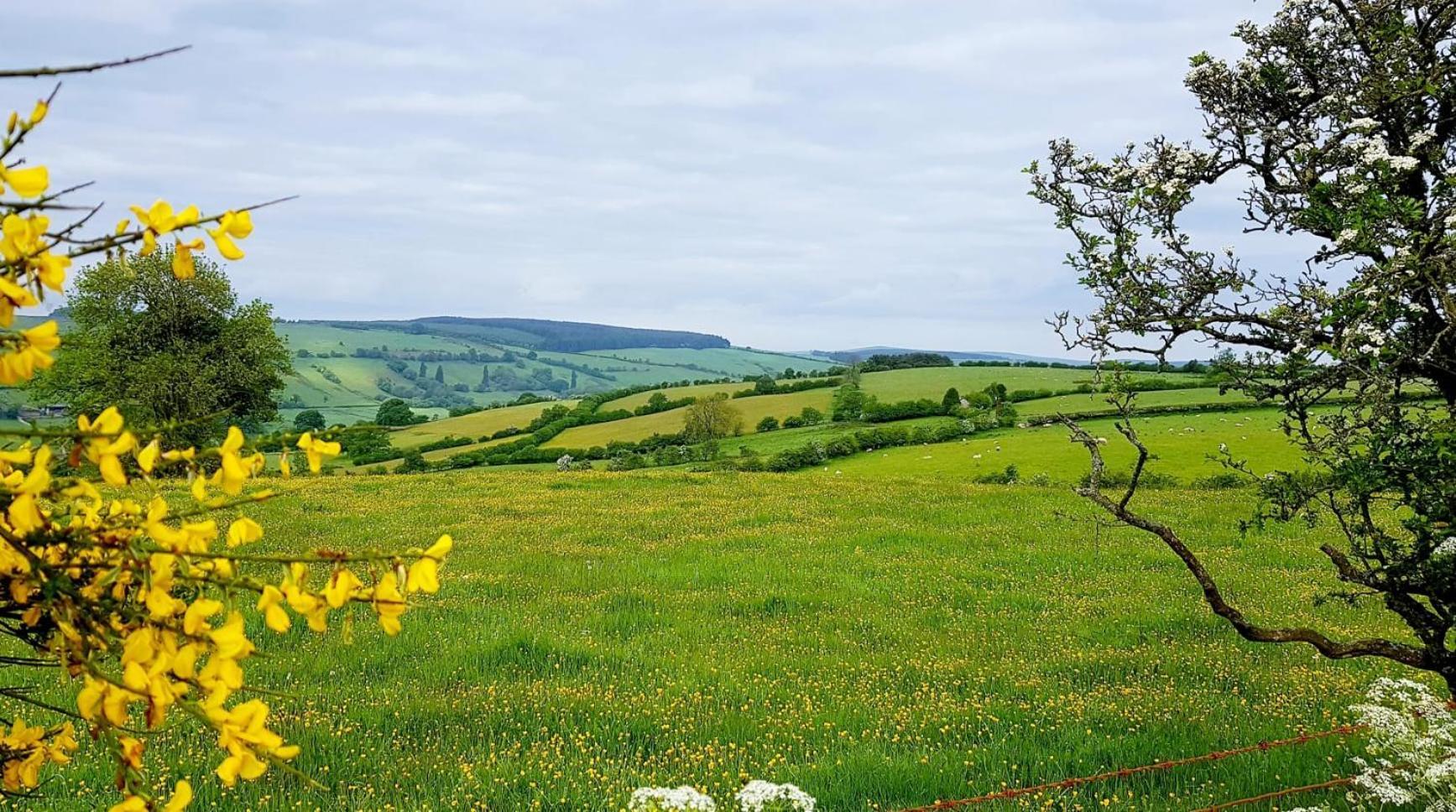 Foxglove Accommodation Craven Arms Zewnętrze zdjęcie